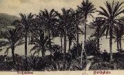 Pierre Renoir View of Bordighera:the Palms Postcard oil painting